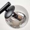 Chehalis Plafonnier, Boule lumineuse Fumé, 3 lumières