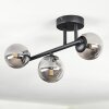 Chehalis Plafonnier, Boule lumineuse Fumé, 3 lumières