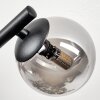 Chehalis Plafonnier, Boule lumineuse Fumé, 3 lumières
