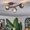 Chehalis Plafonnier, Boule lumineuse Clair, Fumé, 3 lumières