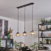 Ripoll Suspension, Boule lumineuse, Suspension Chrome, Clair, Fumé, 3 lumières