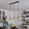 Ripoll Suspension, Boule lumineuse, Suspension Clair, Fumé, 3 lumières