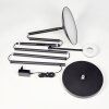 Dillingby Lampadaire LED Noir, 2 lumières