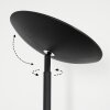 Dillingby Lampadaire LED Noir, 2 lumières