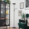 Dillingby Lampadaire LED Noir, 2 lumières