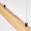 Fugelsta Suspension, Suspension LED Noir, 1 lumière
