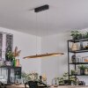 Fugelsta Suspension, Suspension LED Noir, 1 lumière