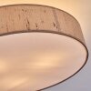 Foggia Plafonnier Nickel mat, 3 lumières
