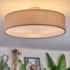 Foggia Plafonnier Nickel mat, 3 lumières