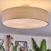 Foggia Plafonnier Nickel mat, 3 lumières