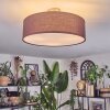 Foggia Plafonnier Nickel mat, 3 lumières
