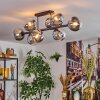 Gastor Plafonnier, Boule lumineuse Chrome, Clair, Fumé, 8 lumières
