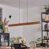 Fugelsta Suspension, Suspension LED Noir, 1 lumière