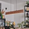 Fugelsta Suspension, Suspension LED Noir, 1 lumière