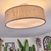 Foggia Plafonnier Nickel mat, 3 lumières