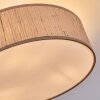 Foggia Plafonnier Nickel mat, 3 lumières