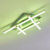 Plafonnier Eriz LED Nickel mat, 4 lumières, Télécommandes, Changeur de couleurs