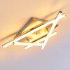 Plafonnier Eriz LED Nickel mat, 4 lumières, Télécommandes, Changeur de couleurs