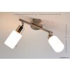Spot de plafond Reality Acier inoxydable, Blanc