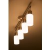 Spot de plafond Reality Acier inoxydable, Blanc, 4 lumières