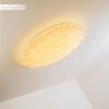 Plafonnier Trio NAGANO LED Blanc, 1 lumière, Télécommandes, Changeur de couleurs