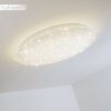 Plafonnier Trio NAGANO LED Blanc, 1 lumière, Télécommandes, Changeur de couleurs