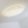 Deckenleuchte Plafonnier LED Blanc, 1 lumière, Télécommandes