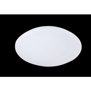 Plafonnier Reality Putz LED Blanc, 1 lumière