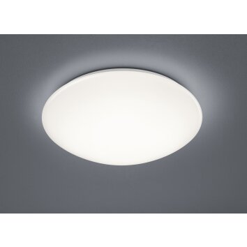 Plafonnier Reality Putz LED Blanc, 1 lumière