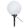 Borne lumineuse Reality BOLO Noir, 1 lumière