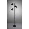 Lampadaire Reality GINA Noir, 3 lumières