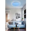 Plafonnier Reality WIZ FARA LED Scintillant, Blanc, 1 lumière, Changeur de couleurs