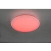 Plafonnier Reality WIZ FARA LED Scintillant, Blanc, 1 lumière, Changeur de couleurs