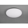 Plafonnier Reality WIZ FARA LED Scintillant, Blanc, 1 lumière, Changeur de couleurs