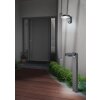 Applique murale Reality Posadas LED Anthracite, 1 lumière, Détecteur de mouvement