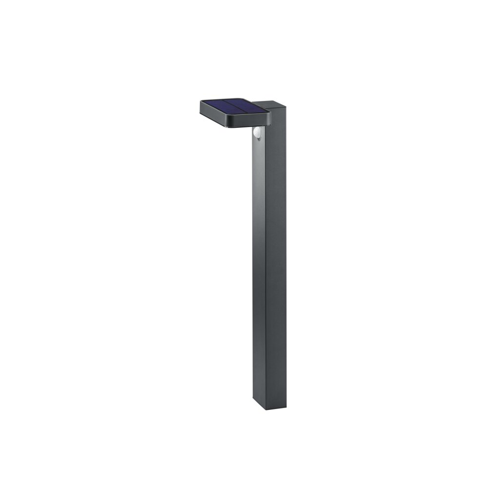 Borne lumineuse Reality Esquel LED Anthracite, 1 lumière, Détecteur de mouvement main product photo