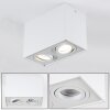 Plafonnier Baishan LED Blanc, 2 lumières
