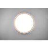 Plafonnier Reality Monte LED Blanc, 1 lumière, Télécommandes