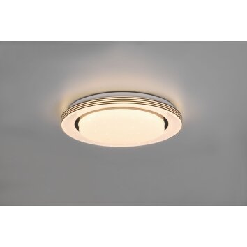 Plafonnier Reality Atria LED Noir, Blanc, 1 lumière, Télécommandes