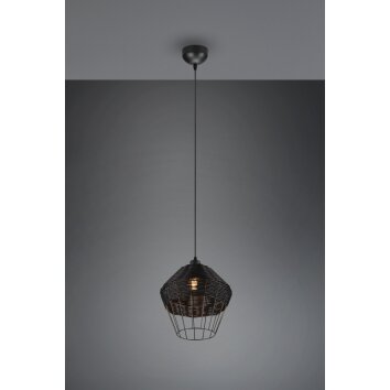 Suspension Reality Borka Noir, 1 lumière