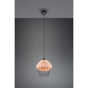 Suspension Reality Borka Noir, 1 lumière