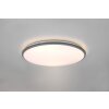 Plafonnier Reality Limbus LED Titane, 1 lumière