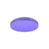 Plafonnier Reality Tiger LED Blanc, 1 lumière, Télécommandes, Changeur de couleurs