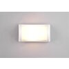 Applique murale d'extérieur Reality Puelo Blanc, 1 lumière