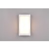 Applique murale d'extérieur Reality Puelo Blanc, 1 lumière