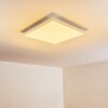 Plafonnier Voisines LED Blanc, 1 lumière, Télécommandes, Changeur de couleurs