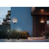 PALOMA Lampadaire d\'extérieur Luminaires Reality Anthracite, 1 lumière