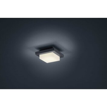 Decken- Plafonnier, Applique murale Luminaires Trio LED Anthracite, 1 lumière