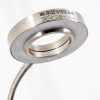 Lampadaire à vasque Donna LED Nickel mat, 1 lumière