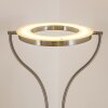 Lampadaire à vasque Donna LED Nickel mat, 1 lumière